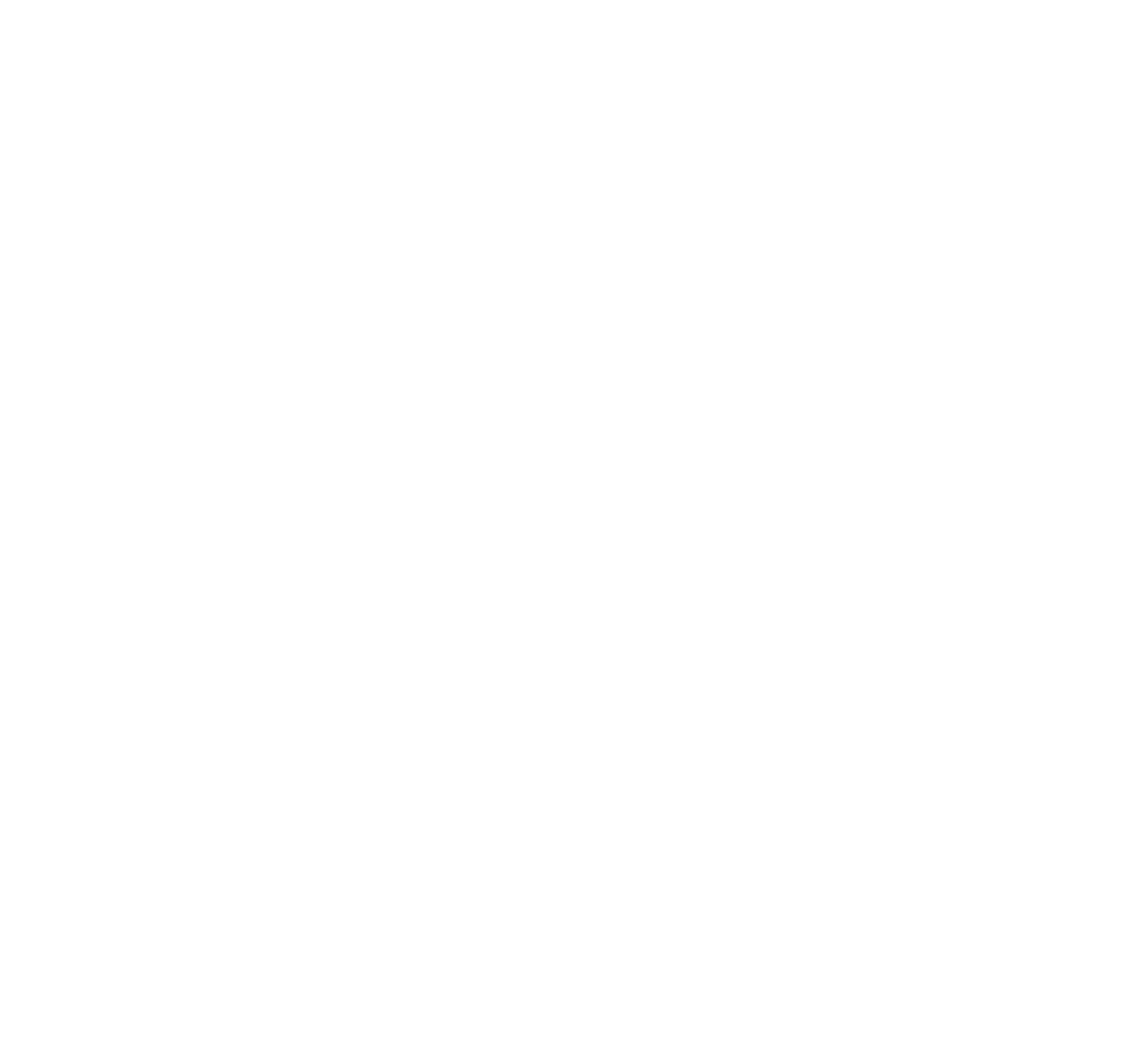 3DScan – Smart Surveying